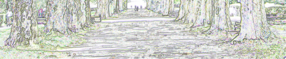 Platanenallee Tübingen
